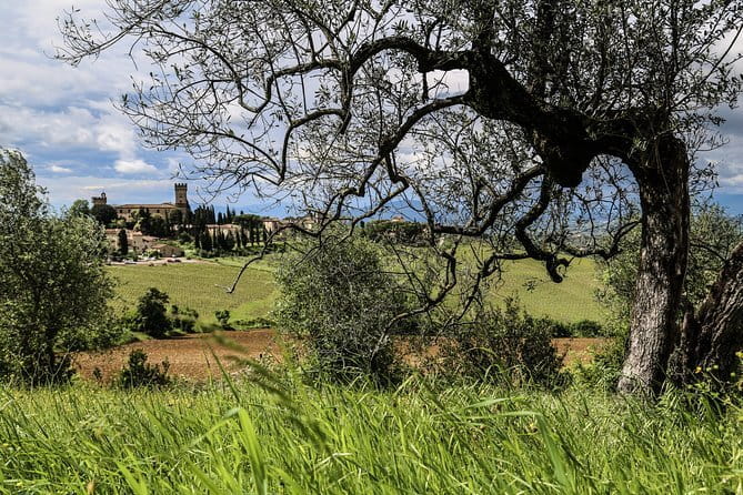 Chianti Wineries Tour with Tuscan Lunch and San Gimignano - Price and Logistics: When $229.77 Feels Like Value