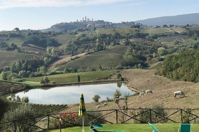 Chianti Wineries Tour with Tuscan Lunch and San Gimignano - San Gimignano Towers, Squares, and a Plan for Wandering