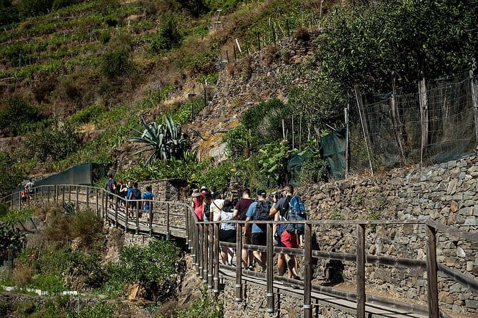 Cinque Terre Day Trip with Optional Hiking or Pisa - Pick your pace: guided hiking vs train-only village-hopping