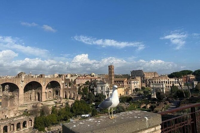 Colosseum, Roman Forum & Palatine Hill Admission With Audio Guide - Timed Colosseum Entry, Then a Self-Guided Rome Rhythm