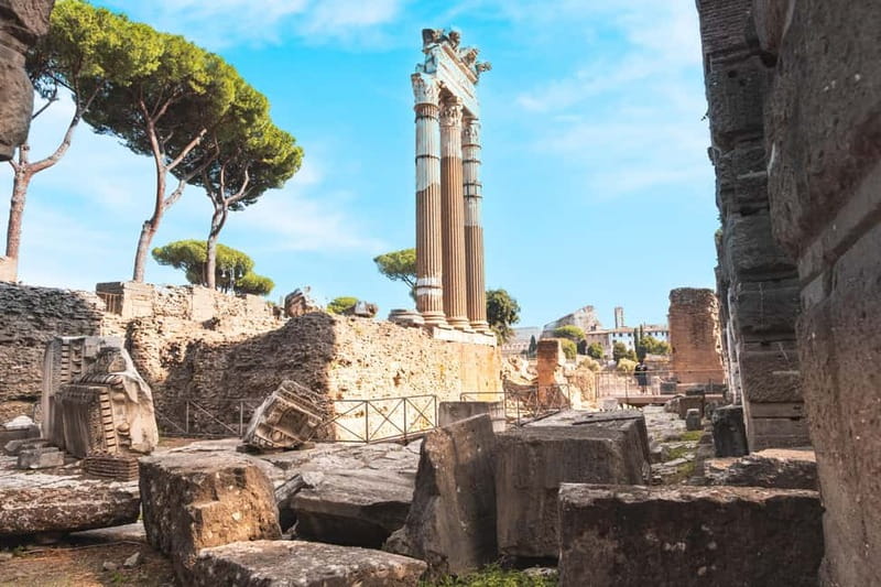 Colosseum, Roman Forum & Palatine Hill Entry and Audioguide - Tickets, meeting points, and the stuff that can trip you up