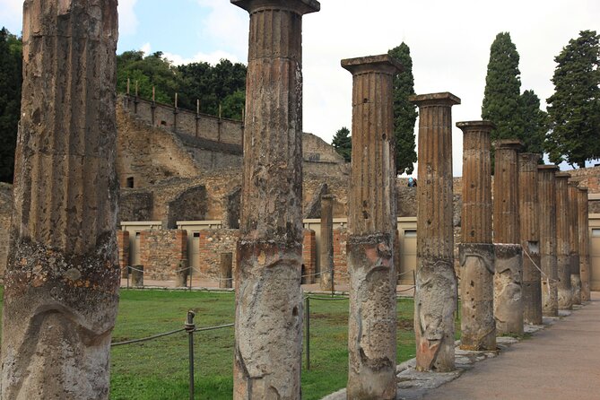 Day Trip of Pompeii, Herculaneum and Vesuvius from Naples - Stop 2: Vesuvius National Park, the climb and the crater views