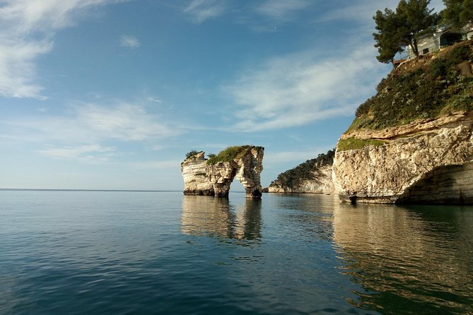 Desirèe experience. Visit of the marine caves of Vieste - Quick Takeaways
