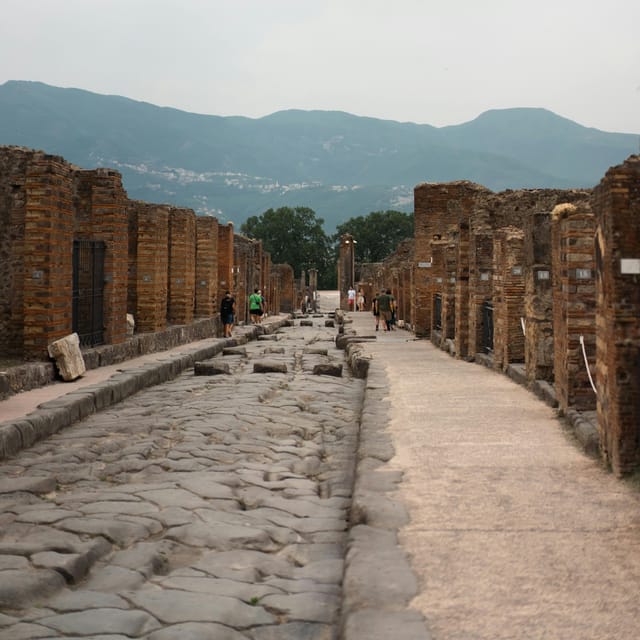 Discover Pompeii: French Walking Tour of the Buried City - The included ticket note: Pompeii Express and access limits