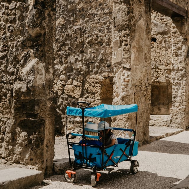 Discover Pompeii: French Walking Tour of the Buried City - Meeting point, timing, and how to not lose time before the tour