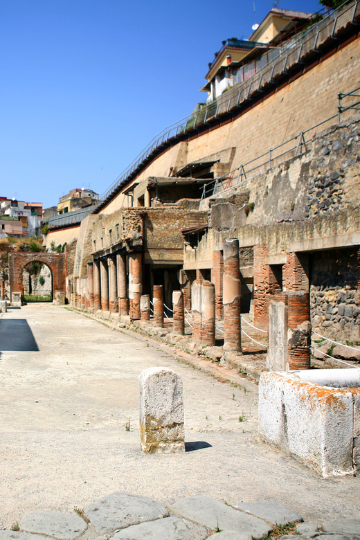 Ercolano: Herculaneum Entry Ticket with Optional Audio Guide - Key things to know before you go