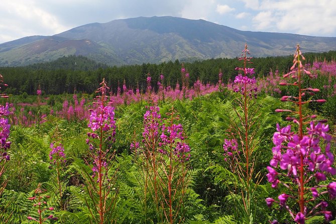 Etna Tour in 4x4 - MontataGrande farm tasting: Sicilian produce, Etna flavors, and the best kind of souvenir