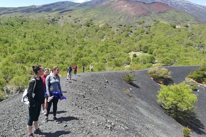 Etna, Wine and Alcantara Tour - From Taormina - Price and logistics that make the day tour feel fair