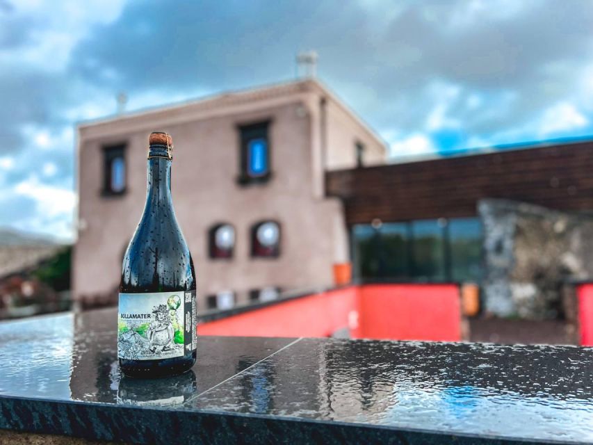 Etna: Wine Tasting and Food Tour - After lunch: vineyards and the behind-the-scenes part that makes wine click