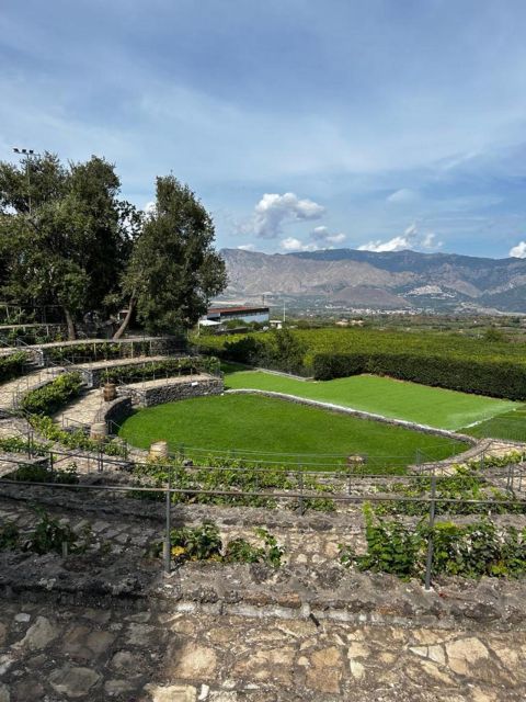 Etna: Wine Tasting and Food Tour - What about the driving and timing, is it really a 7-hour day?
