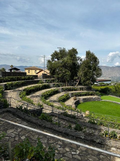 Etna: Wine Tasting and Food Tour - Price and value: is $129.14 worth it for Etna wine plus lunch?