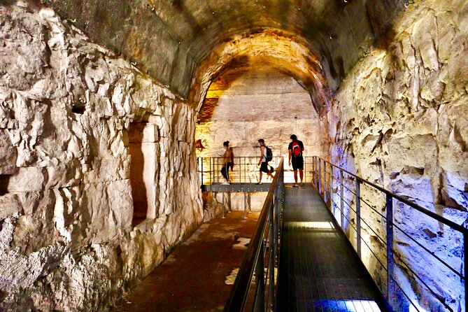 Expert Guided Tour of Colosseum Arena OR Underground, and Forum - Entering the Colosseum with real guidance