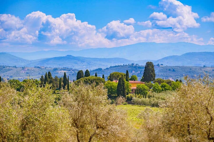 Florence: Chianti E-Bike Tour with Lunch & Two Wine Tastings - Key Highlights You’ll Actually Feel on This Tour