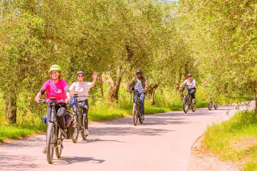 Florence: Chianti E-Bike Tour with Lunch & Two Wine Tastings - What to Bring and Wear, So You Don’t Hate the Day