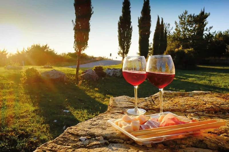 Florence: Chianti Vineyards Tour with Wine Tasting & Dinner - Key highlights worth planning for