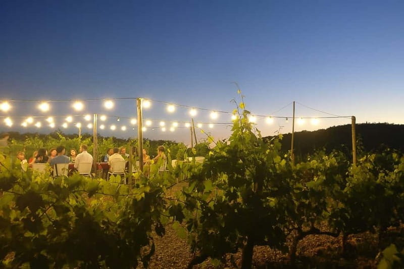 Florence: Chianti Vineyards Tour with Wine Tasting & Dinner - Who Should Book This Chianti Tour, and Who Might Not