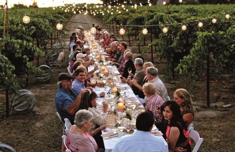 Florence: Chianti Vineyards Tour with Wine Tasting & Dinner - Winery Tour and Tastings at the Estate Wineries