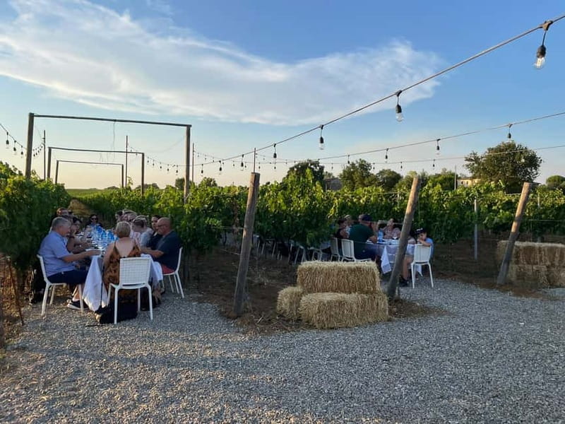 Florence: Chianti Vineyards Tour with Wine Tasting & Dinner - What You Taste: Wine, Olive Oil, and That “Come Hungry” Part