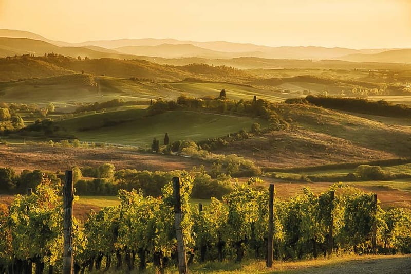 Florence: Chianti Vineyards Tour with Wine Tasting & Dinner - Group Size, Languages, and How the Evening Feels