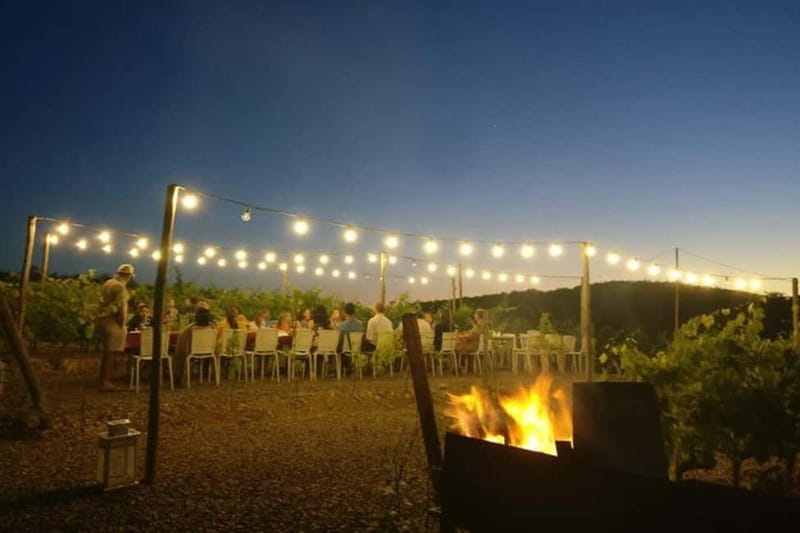 Florence: Chianti Vineyards Tour with Wine Tasting & Dinner - Value for the Money: Is $123.48 a Good Deal?