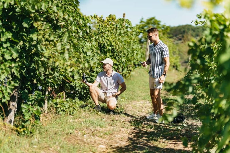 Florence: Chianti Wineries Tour with Wine Tasting - Price and value: is $56.37 per person fair?