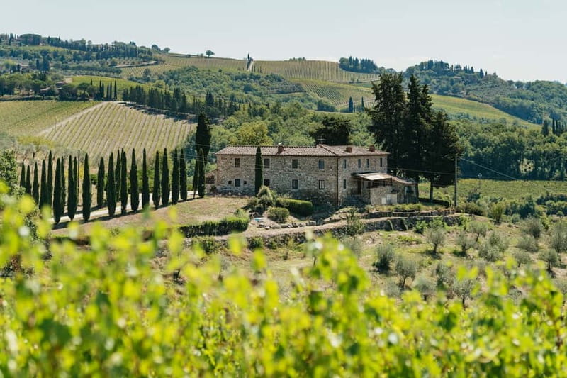Florence: Chianti Wineries Tour with Wine Tasting - Stop 1 at the first winery: intro, barrel talk, vineyard walk, then 3 to 4 pours