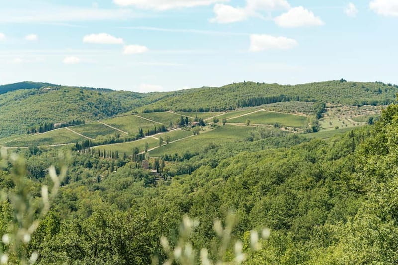 Florence: Chianti Wineries Tour with Wine Tasting - Who this tour suits best, and who might prefer something else