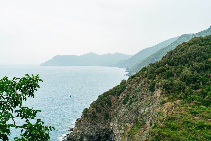 Florence: Cinque Terre Day Trip with Optional Hike - Vernazza: optional hike payoff, cafes, and sea time