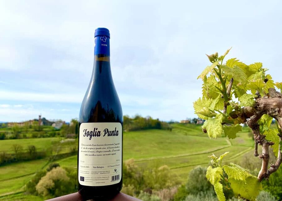 Florence: Countryside Tour with Wine Tasting & Pasta Class - Who this Tuscany day trip fits best, and who should skip it
