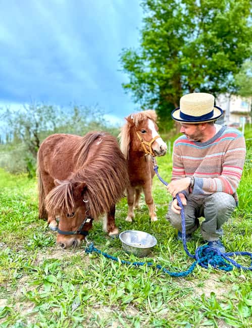 Florence: Countryside Tour with Wine Tasting & Pasta Class - Vineyard and botanical garden walk on an actual working farm