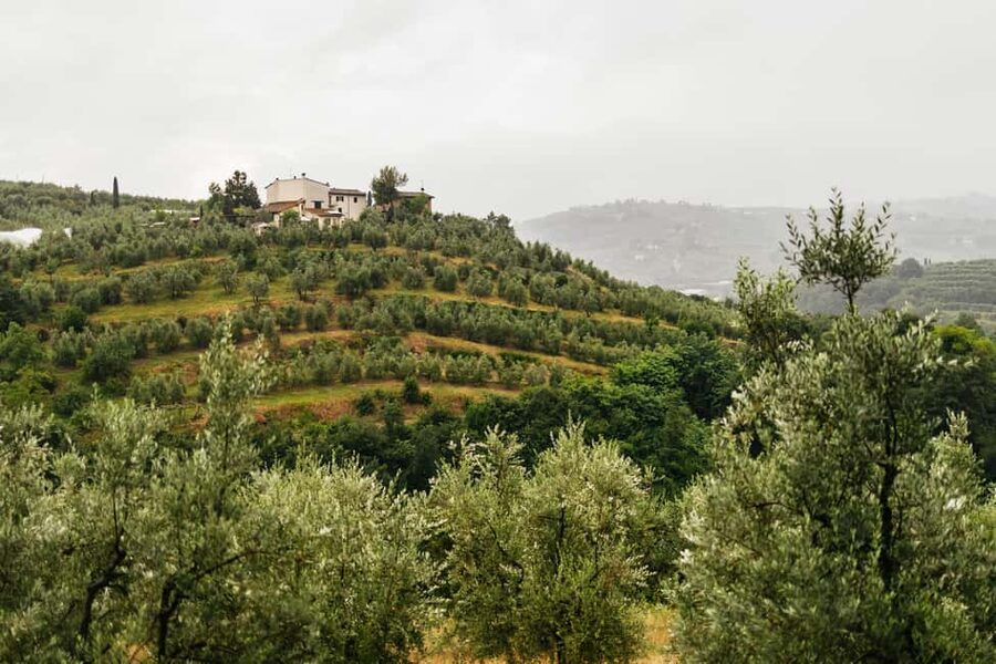 Florence: Countryside Vintage Fiat 500 Driving Tour - Stick-shift practice and swapping seats like a pro