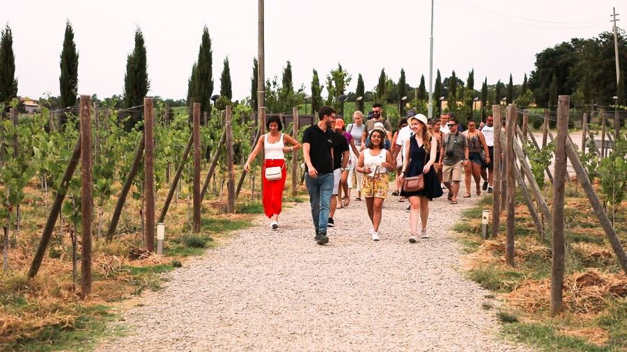 Florence: S. Gimignano, Siena, Chianti & Wine Tasting Lunch - Who this tour is best for, and who should rethink it
