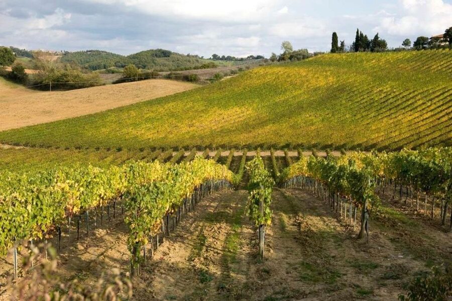 Florence: Siena & San Gimignano Day Trip with Lunch & Wine - Who should book this day trip, and who should skip it