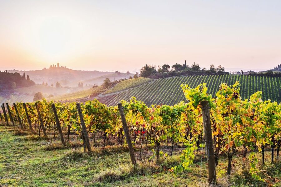 Florence: Siena & San Gimignano Day Trip with Lunch & Wine - When you leave Siena, you shift from streets to Chianti flavors