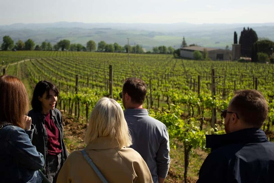 Florence: Valdorcia Wine, Brunello Montalcino, Montepulciano - Pienza Lunch in a 15th-Century Convent Garden, Plus Pecorino Time