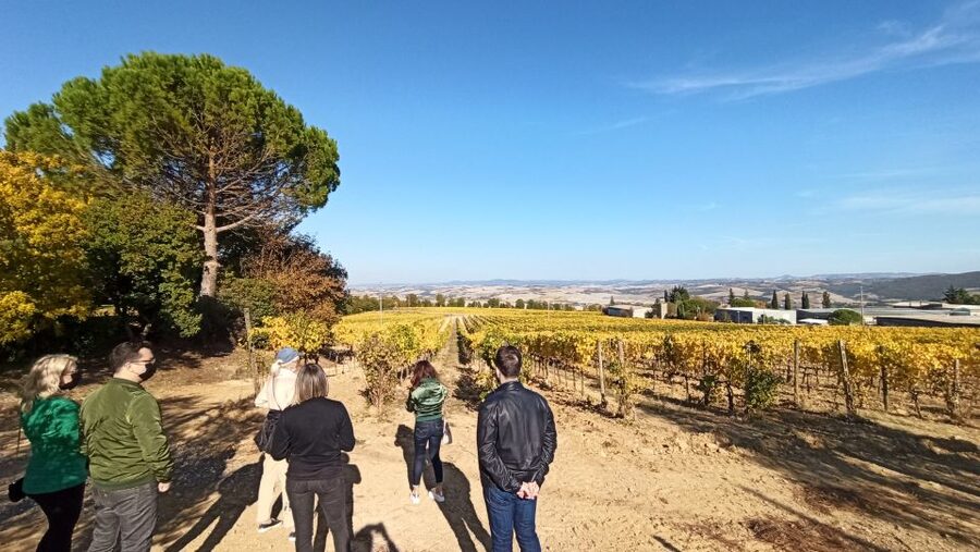 Florence: Valdorcia Wine, Brunello Montalcino, Montepulciano - Montepulciano’s Underground Cellars: Vino Nobile and Olive Oil Sampling