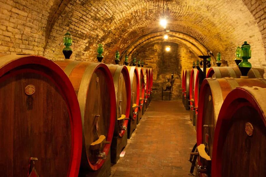 Florence: Valdorcia Wine, Brunello Montalcino, Montepulciano - Group Size, Timing, and Van Comfort on a 10.5-Hour Day