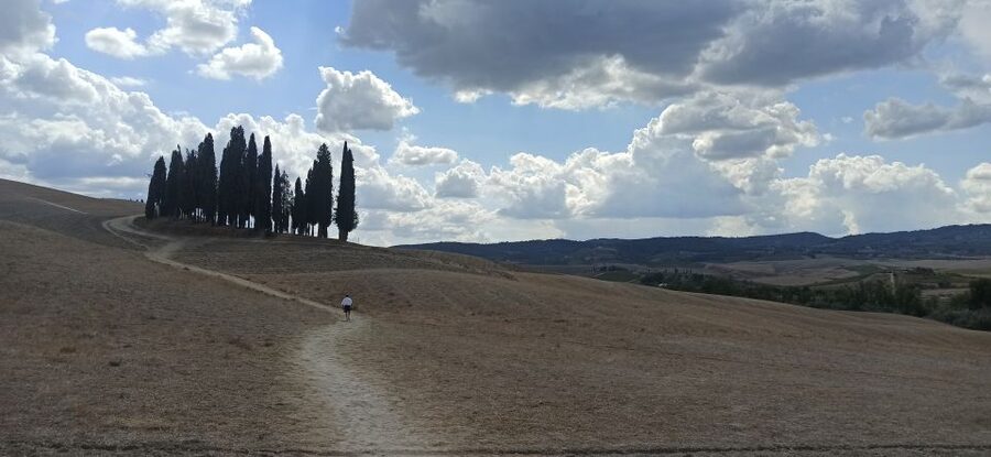 Florence: Valdorcia Wine, Brunello Montalcino, Montepulciano - What You’ll Taste, What You’ll Buy, and How to Choose Wisely