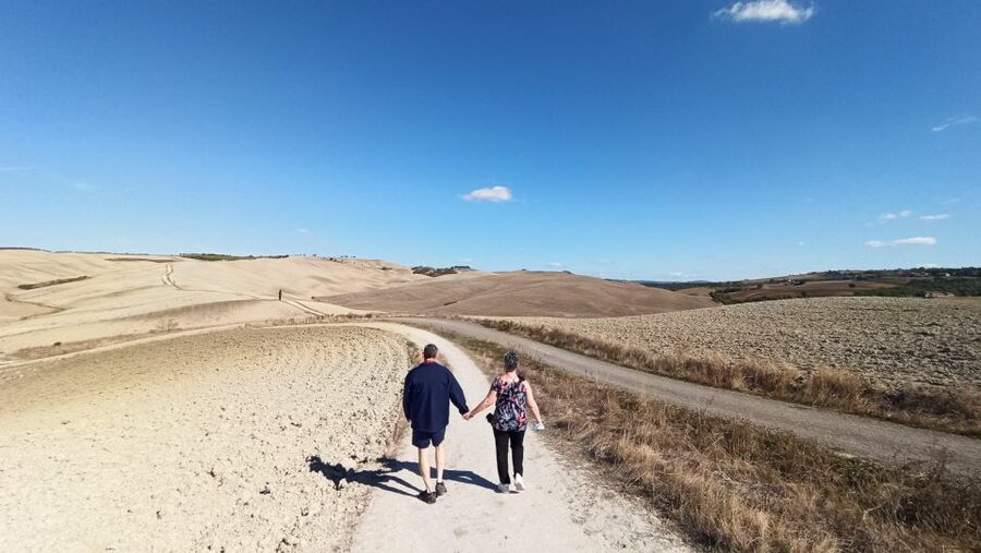 Florence: Valdorcia Wine, Brunello Montalcino, Montepulciano - Who This Trip Suits Best, and Who Should Rethink It