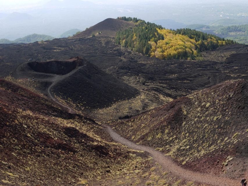 From Catania: Etna tour by Panoramic Bus - Who this Etna bus tour fits best
