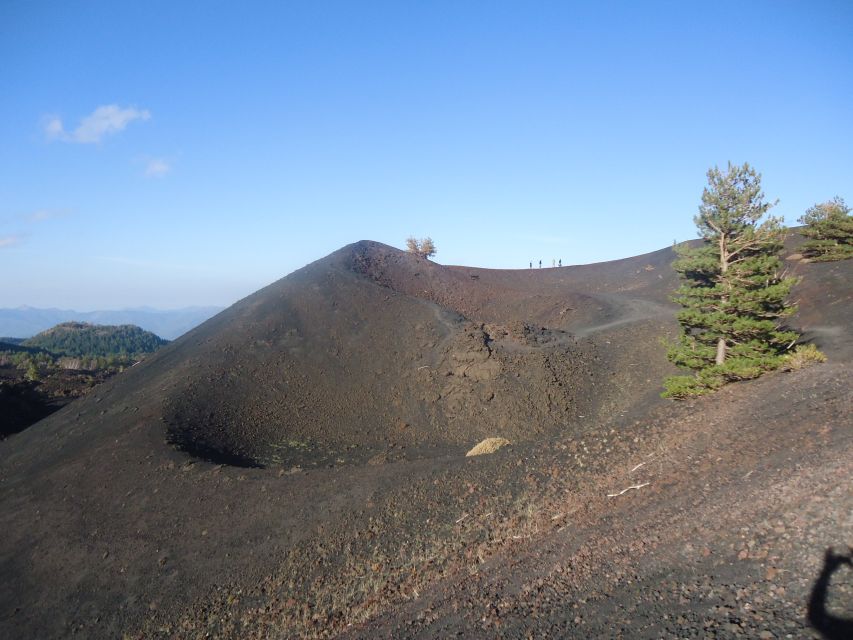 From Catania: Mount Etna Half-Day Tour and Wine Experience - Zafferana Etnea Wine Tasting: Volcanic Soil Meets Real Food