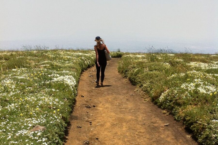 From Catania: Mount Etna Half-Day Tour and Wine Experience - Who Should Book This Etna And Wine Tour (And Who Should Skip)