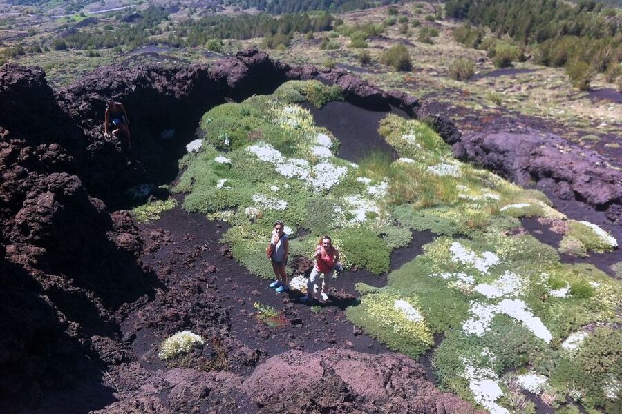 From Catania: Mount Etna Half-Day Tour and Wine Experience - Price And Value: Where This Tour Delivers