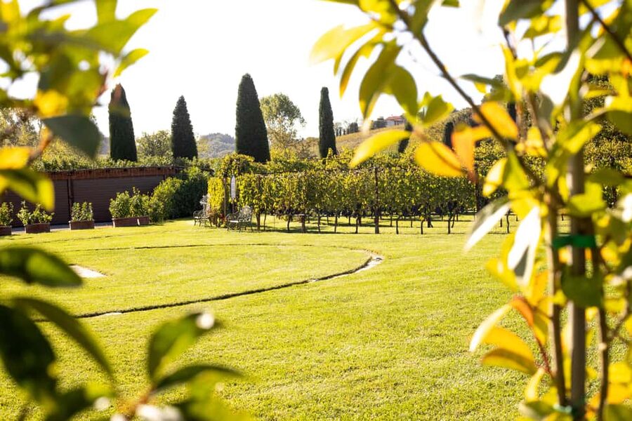 From Florence: Chianti Half-Day Afternoon Tour - Key things I’d circle before you book