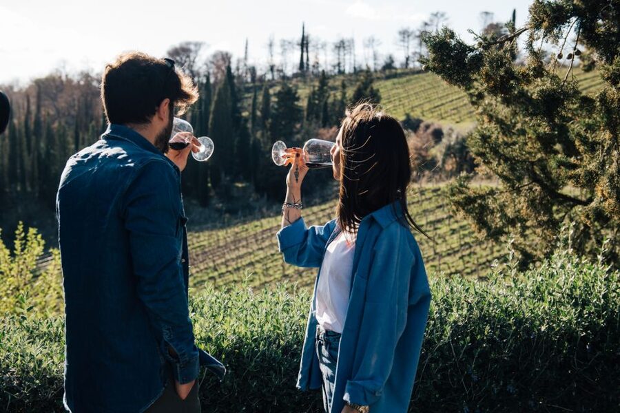 From Florence: Chianti Hills Half-Day Tour with Wine Tasting - From Santa Maria Novella to Chianti Hills in a 5-hour plan