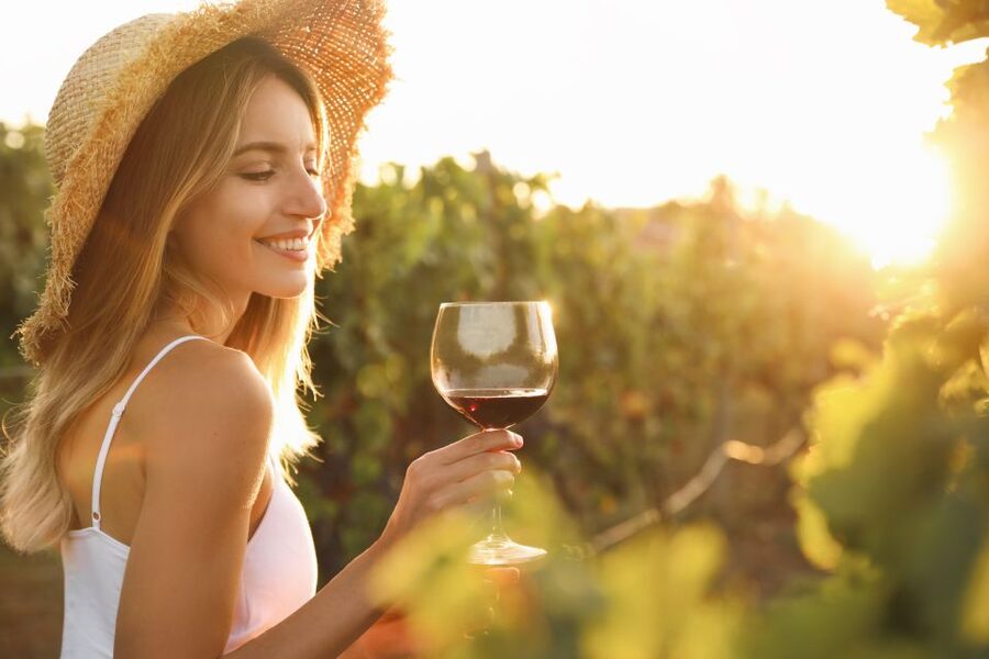 From Florence: Chianti Hills Half-Day Tour with Wine Tasting - Timing and practical tips so the day feels easy