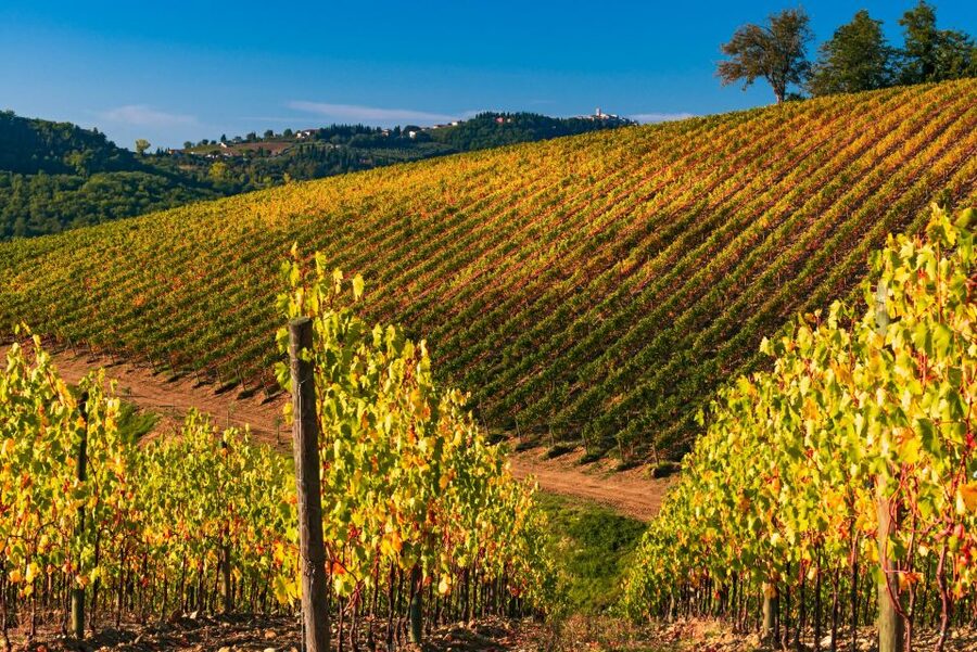 From Florence: Chianti Hills Half-Day Tour with Wine Tasting - Should you book this Chianti wine and vinegar half-day tour?