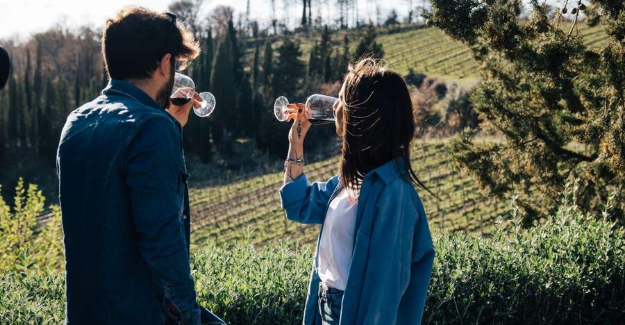 From Florence: Chianti Hills Half-Day Tour with Wine Tasting - The vinegar cellar stop, balsamic and vin santo explained in plain terms