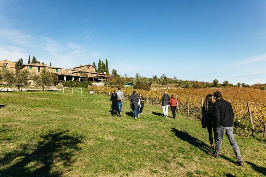 From Florence: Chianti Wine and Food Tasting Safari - Practical tips to make your day smoother