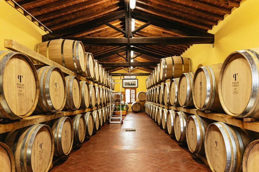 From Florence: Chianti Wine and Food Tasting Safari - Traditional Tuscan lunch: views, pacing, and the best kind of food break